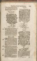 Seite 1530