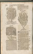 Seite 1531