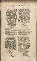 Seite 1532