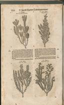 Seite 1533