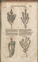 Seite 1534