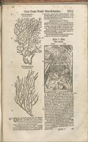 Seite 1540