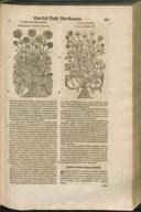 Seite 139