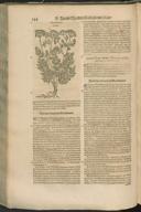 Seite 164