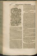Seite 254