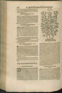 Seite 442