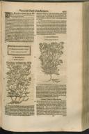 Seite 465