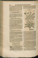 Seite 470