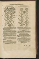 Seite 63
