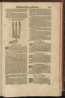 Seite 119