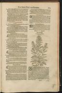 Seite 151