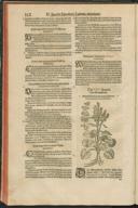 Seite 164