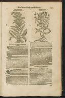 Seite 167