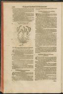 Seite 170
