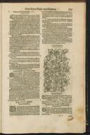 Seite 171