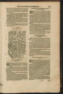 Seite 173