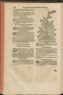 Seite 298
