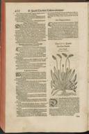 Seite 444