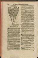 Seite 468