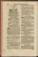 Seite 492