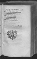 Seite 119