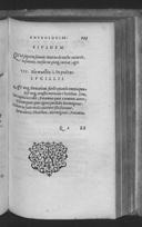 Seite 263
