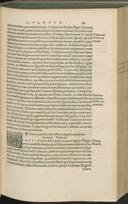 Seite 141