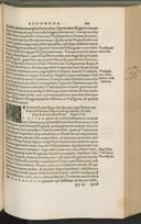 Seite 449