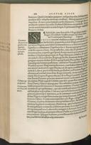 Seite 596
