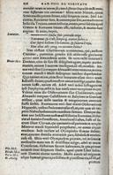 Seite 142