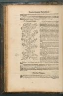 Seite 118