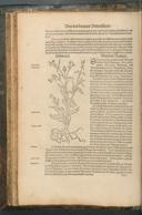 Seite 158