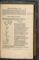 Seite 165