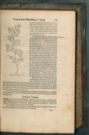 Seite 193