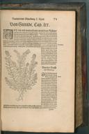 Seite 219