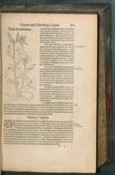 Seite 223
