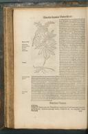 Seite 272