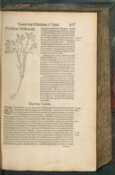 Seite 277