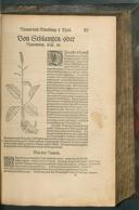 Seite 293