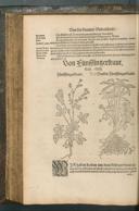 Seite 426