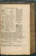 Seite 429