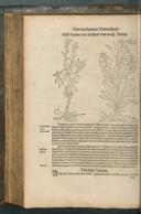 Seite 464