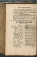 Seite 696