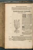 Seite 702