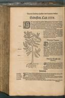 Seite 782