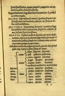 Seite 119
