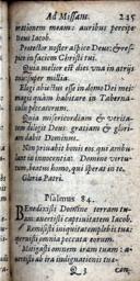 Seite 247