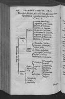 Seite 54